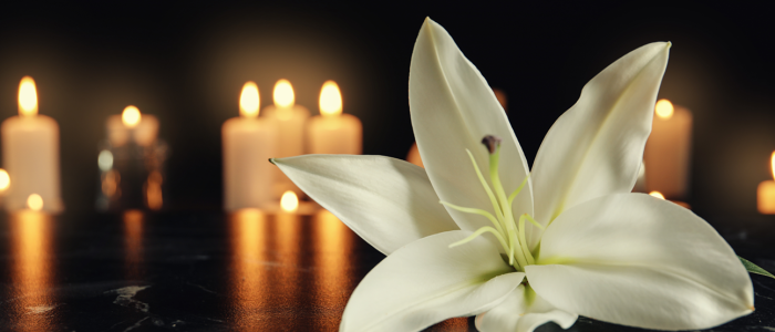 Lily flower and burning candles Lily flower and burning candles