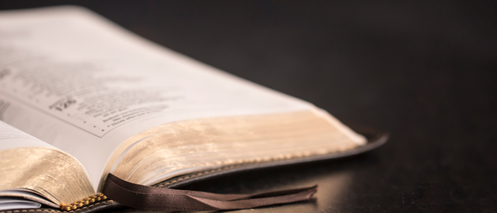The Bible The Bible